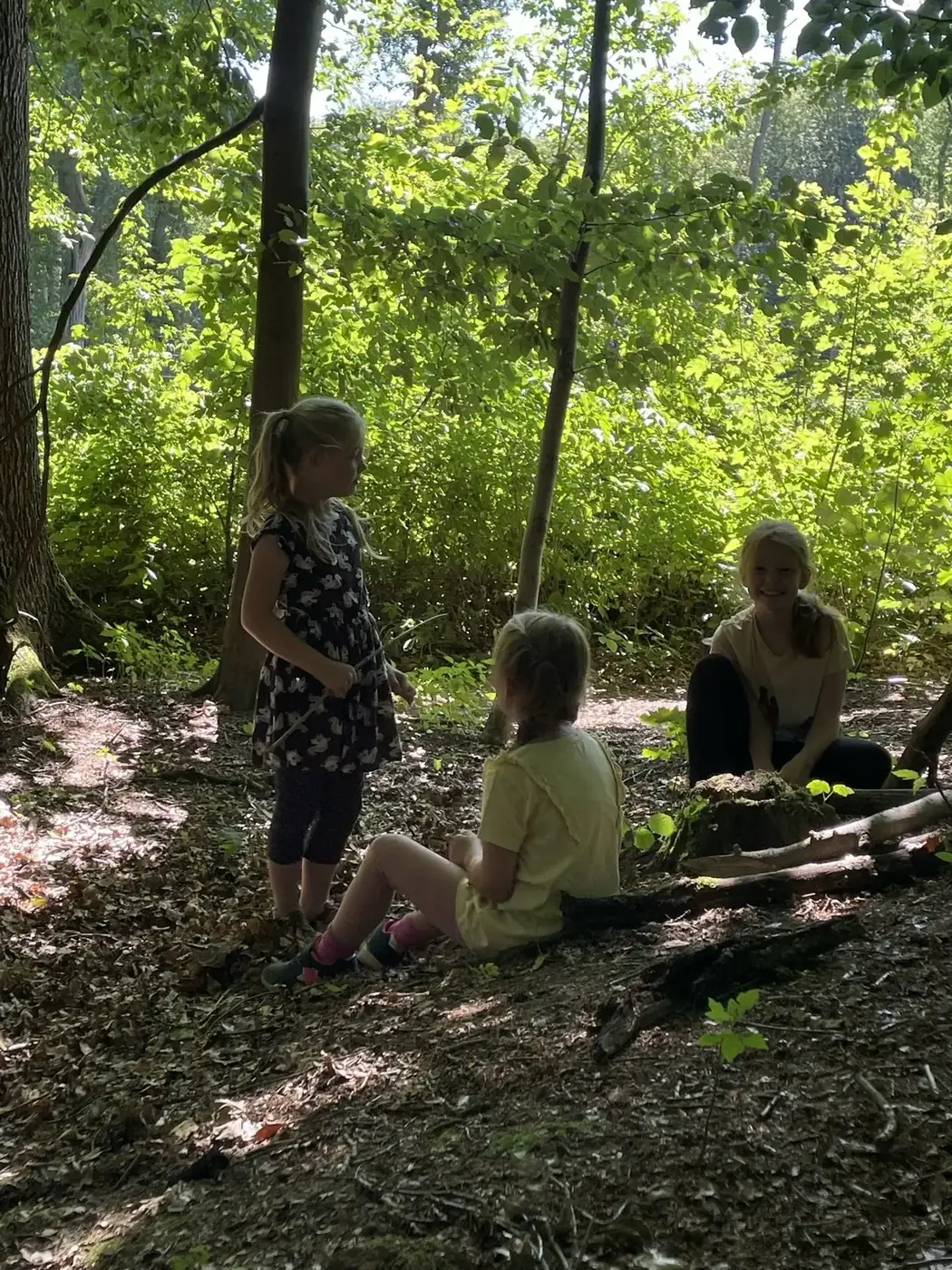 Eindruck aus unseren Natur- und Waldcamps