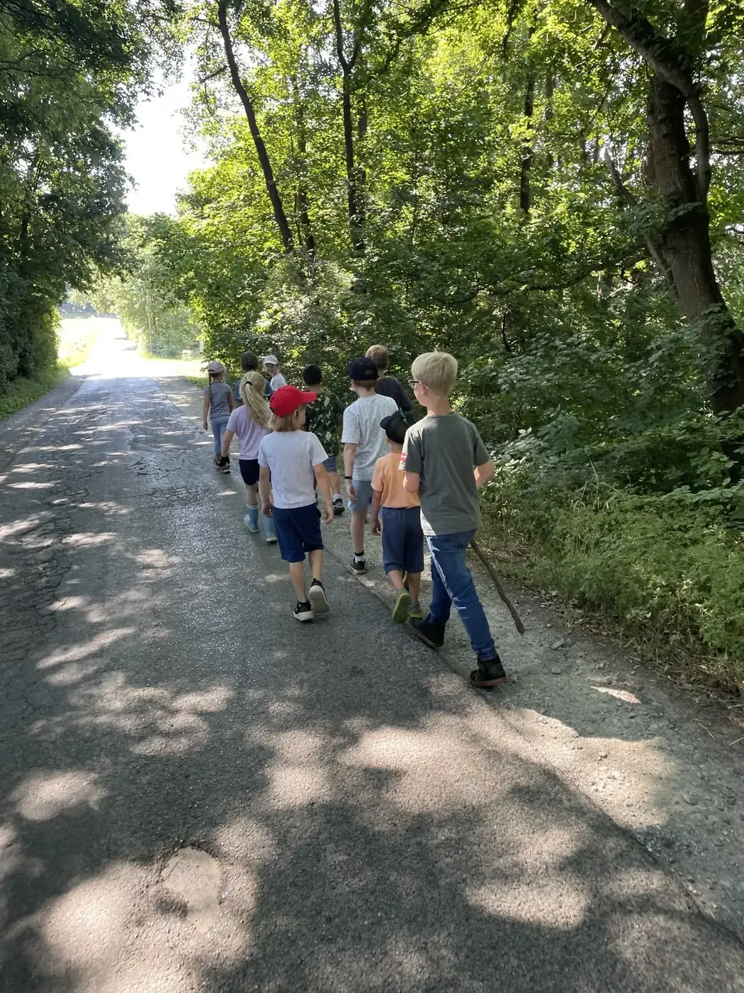 Kindergruppe unterwegs auf einem von Bäumen gesäumten Weg