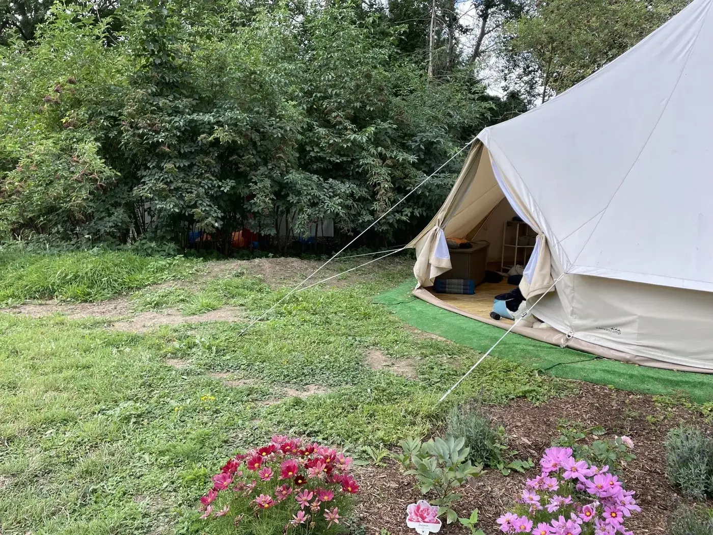 Eindruck aus unseren Natur- und Waldcamps