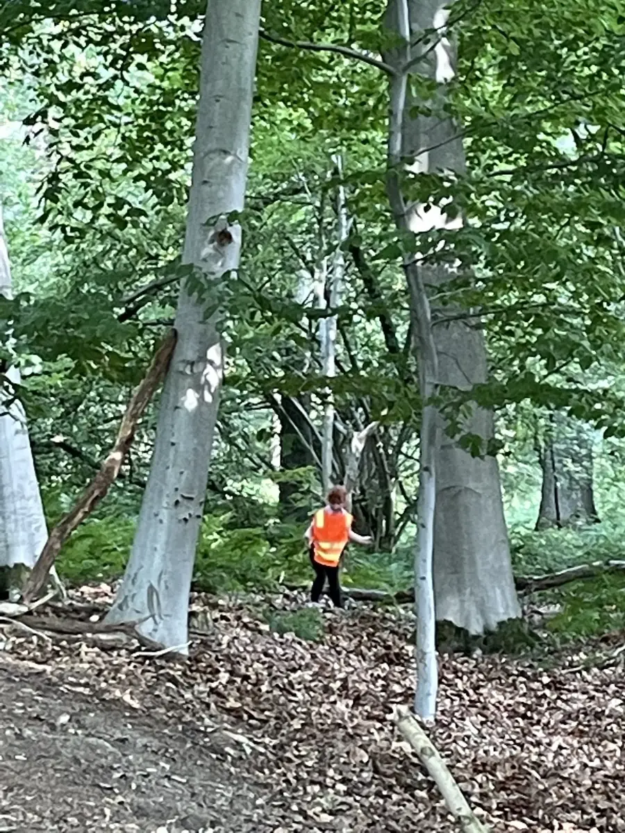 Eindruck aus unseren Natur- und Waldcamps